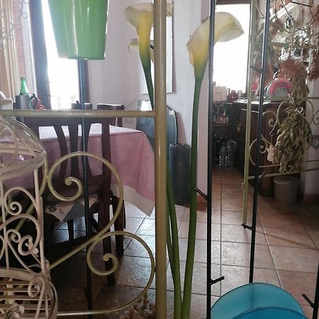 B&B Casacori Орозеи Екстериор снимка
