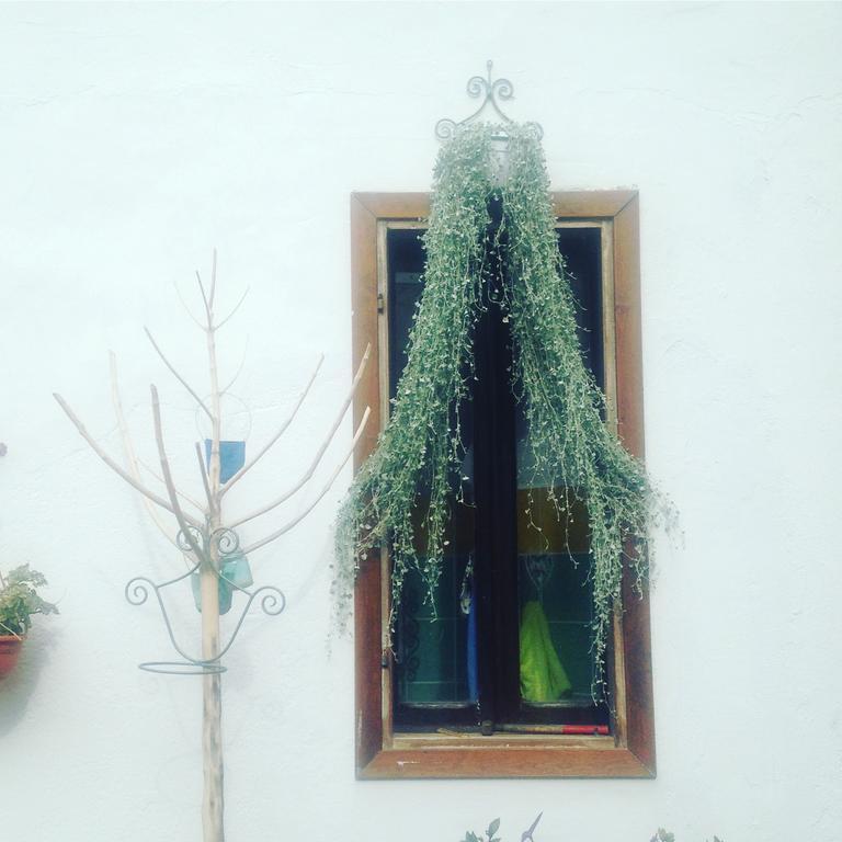 B&B Casacori Орозеи Екстериор снимка